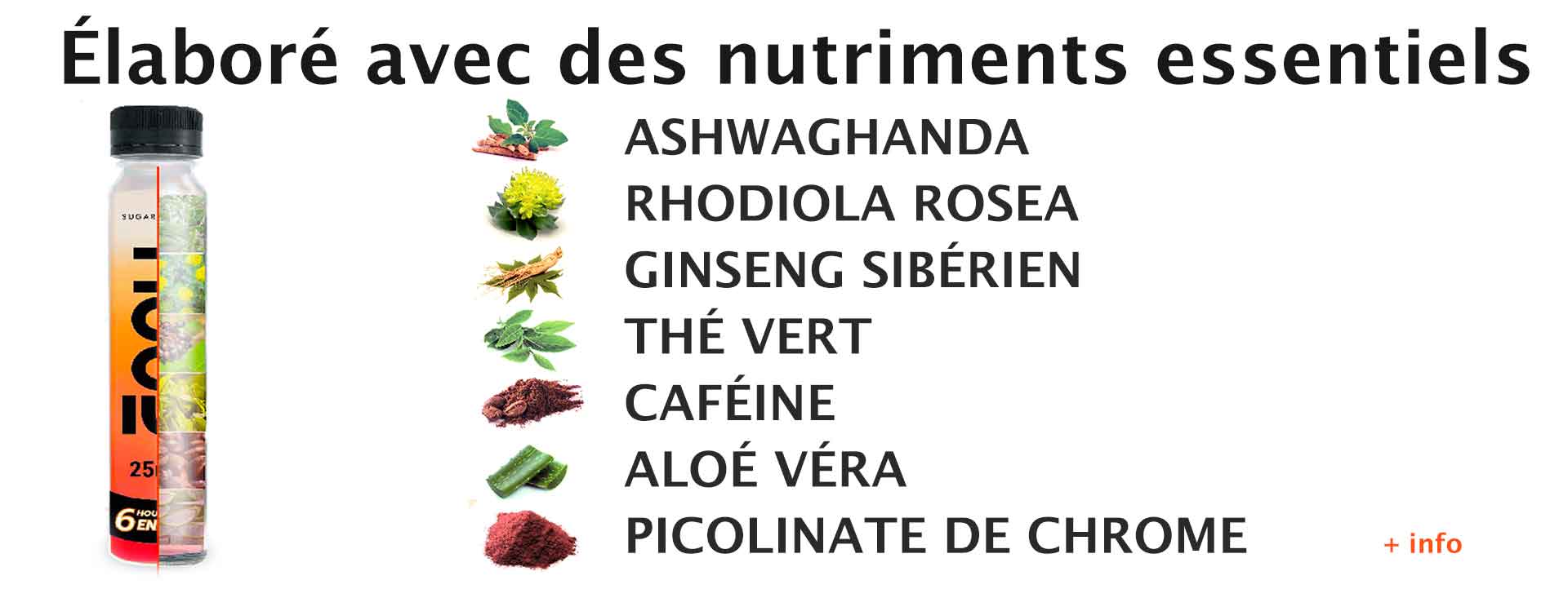 Une synergie de nutriments essentiels